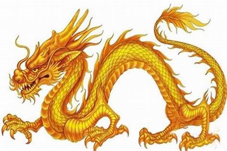 属龙明年的运气和财运怎么样