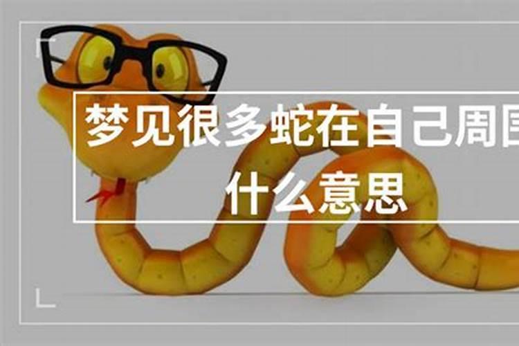 属虎的和属猴的合适吗