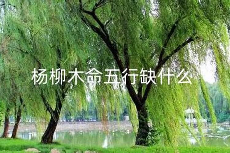 2024端午节是几月几日哪一天 具体几号放假