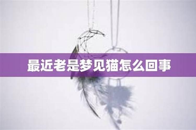 中秋节简介50字