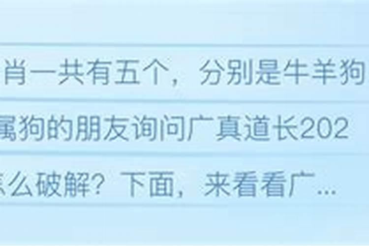 属狗的2024年犯太岁怎么化解