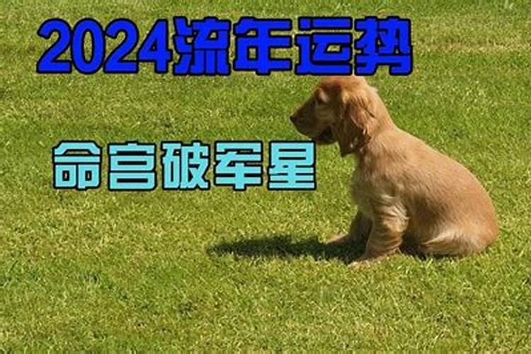 八字是怎么算出来的 天干地支都怎么推算