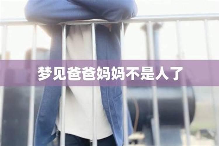 晚年运好的面相有何特征