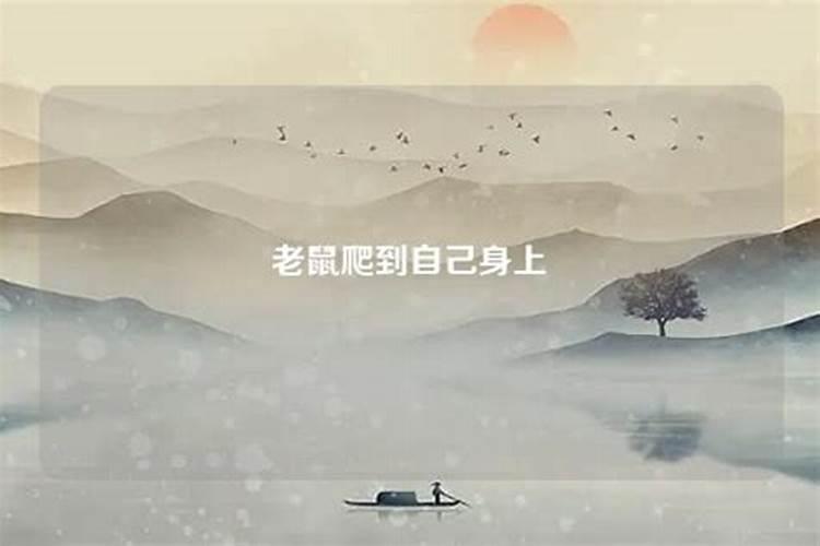 梦到老鼠爬到自己身上是什么意思