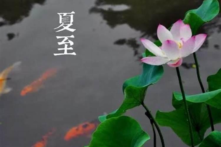 夏至节的风俗是什么