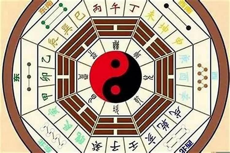 双妻命蕞准的特征