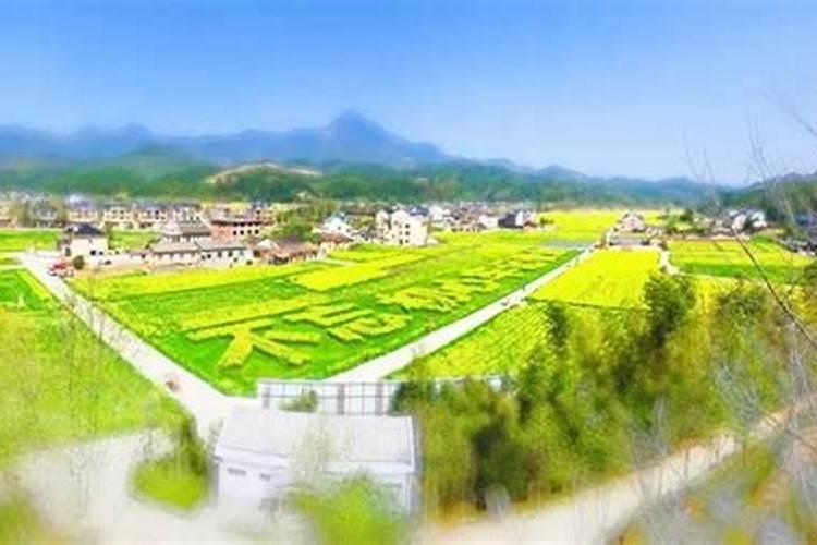 结婚要看八字吗 合婚的五条原则？
