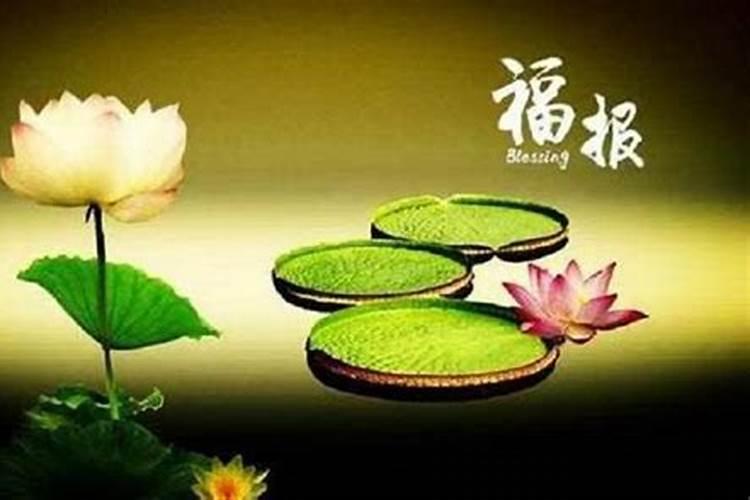 怎样化太岁最有效果2025