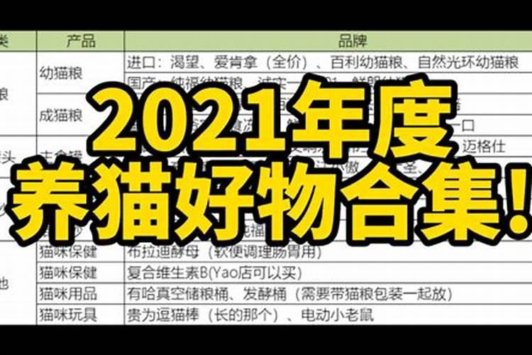 鼠年能养猫吗