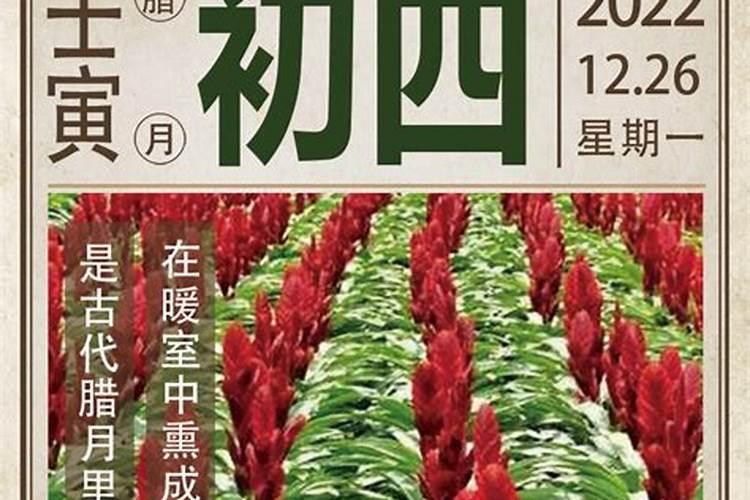 1970年属狗阴历十二月初四生人一生命运如何