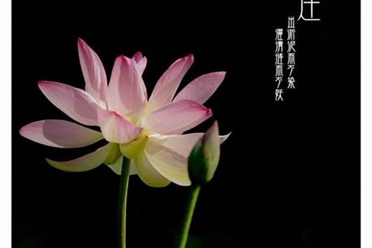 七月鬼节有几天
