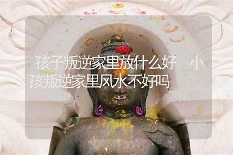 2025属鸡的要躲着谁