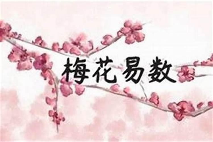命里有文昌星的女孩怎么样？