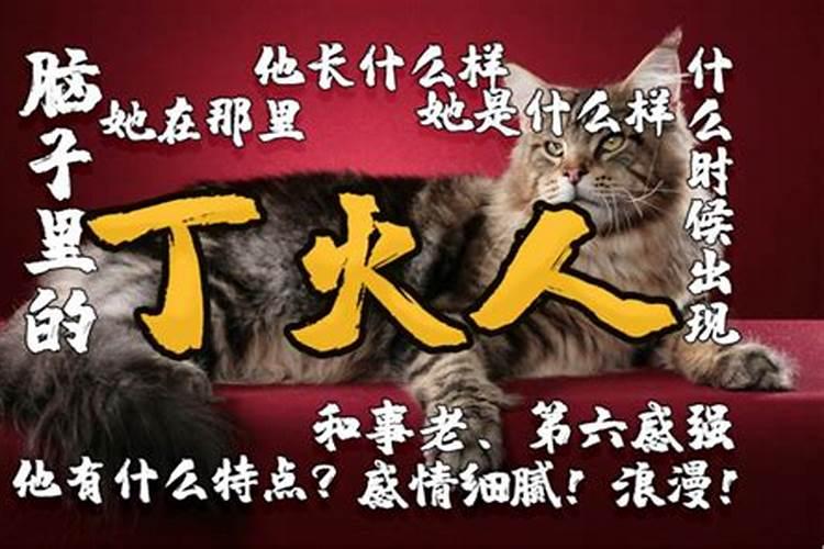 丁丑日柱男命运详解丁丑日柱男命精论