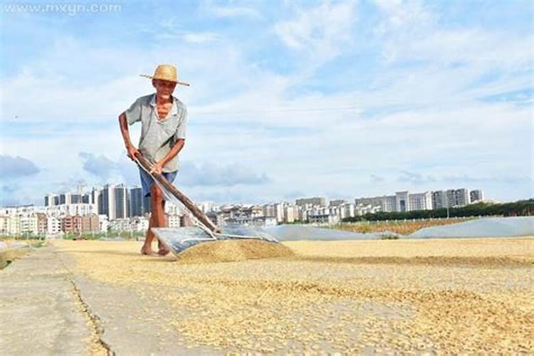 预测配偶远近以出生地为准还是居住地为准？