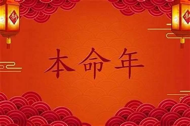 明年本命年,想买比较实用的衣服,大家有什么推荐的吗？