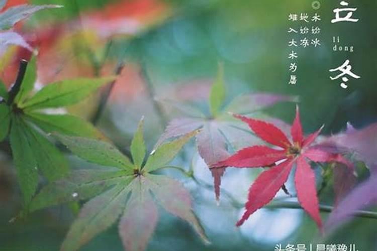 立冬提醒家人注意保暖的简短句子