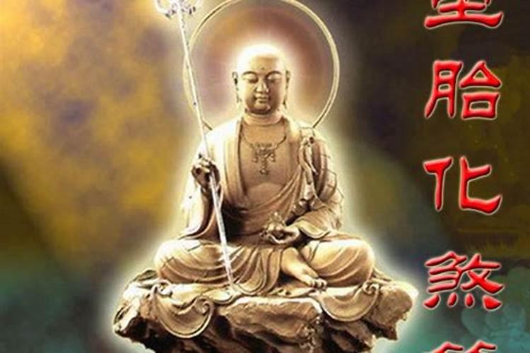 今天二月二十四