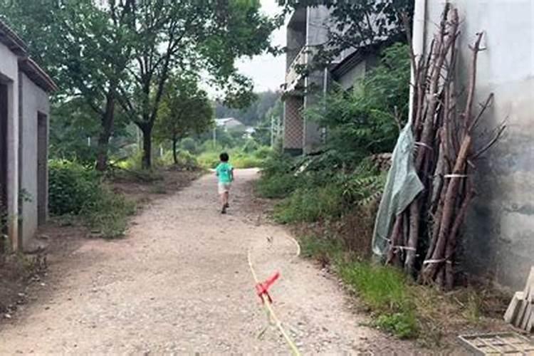 男狗女狗千万别在一起狗女狗在一起合婚吗