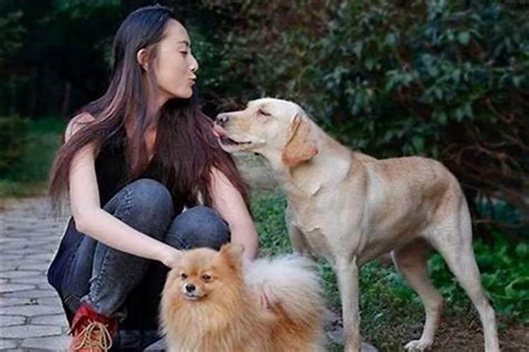 70年女属狗·与71年男猪合婚吗