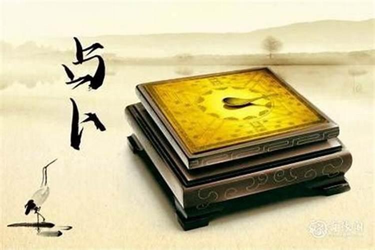 己日主伤官运是什么