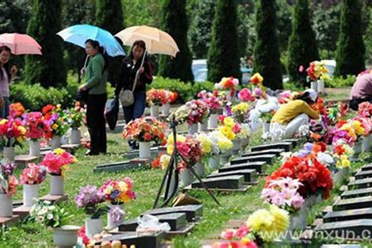 50岁女人梦见乌龟