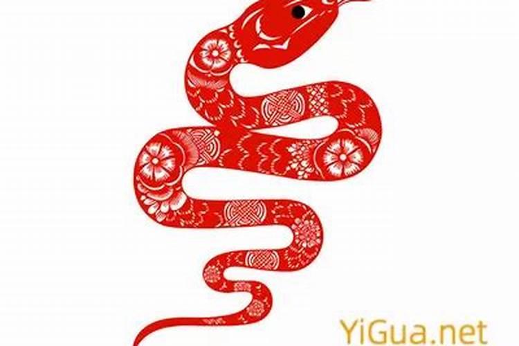 梦见蛇攻击自己是什么预兆