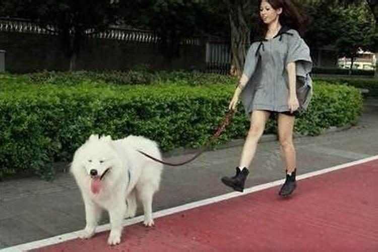 一九六七年属相是什么？跟什么属相婚配