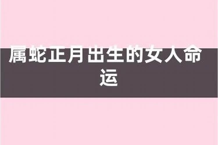 属羊,91年