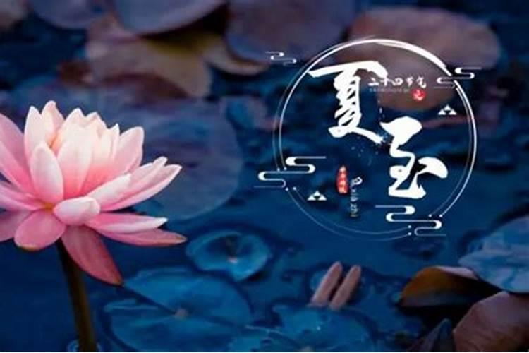 女人梦见坟墓开满鲜花