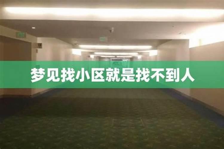 75年属兔人的运势