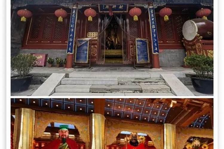 72年女鼠在2025年的运势