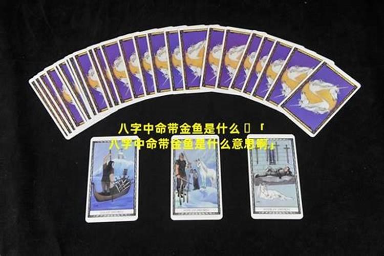 生辰八字带金鱼 怎么办