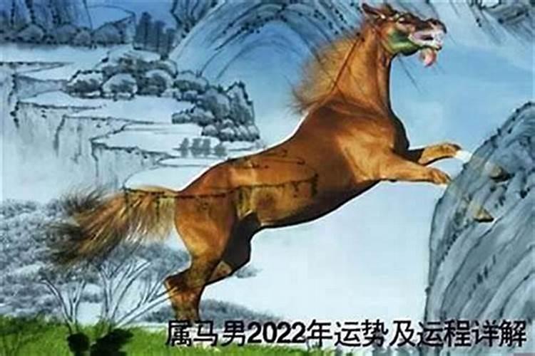 生肖马:生肖马的流年运程