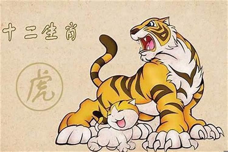 梦见老婆出轨要离婚的预兆