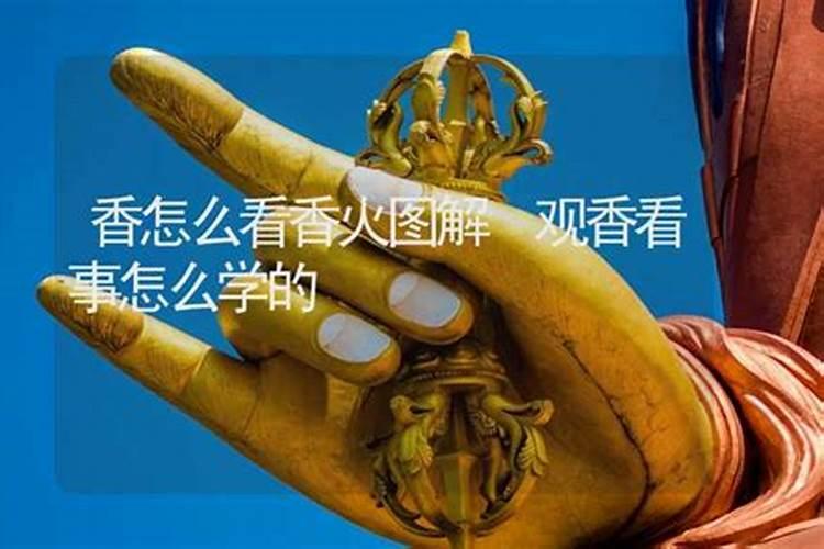 罗盘 什么作用