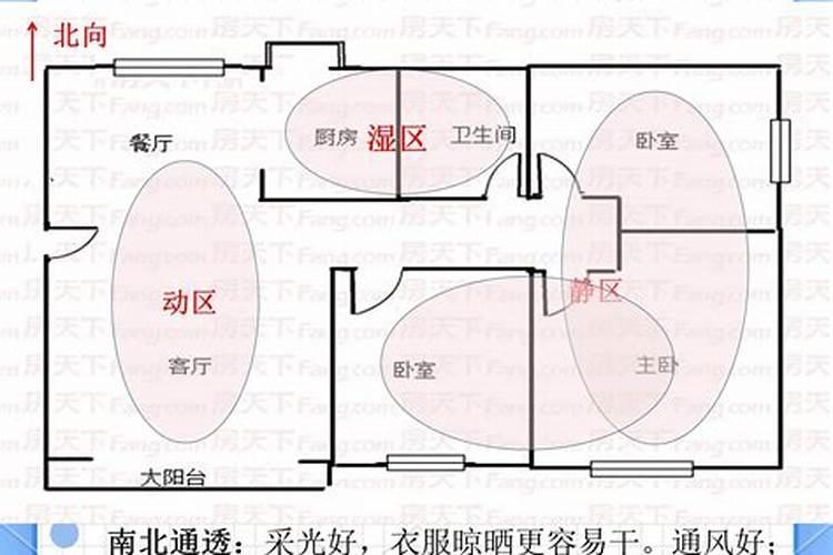 梦见背老虎的预兆