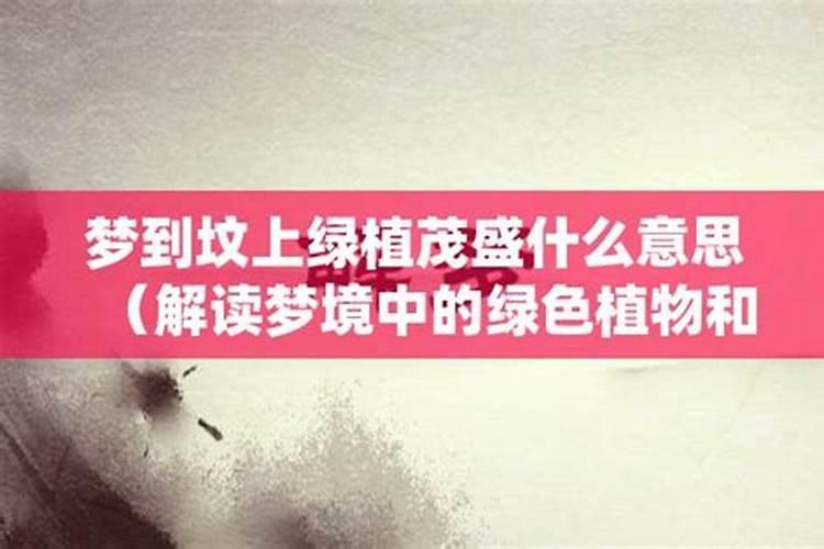 2025年立春是五九尾还是六九头