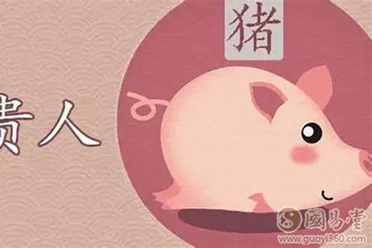 生肖知识历年犯太岁的生肖对照表