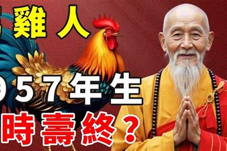 麦玲玲2023年属鸡运程天乙贵人利于添丁？