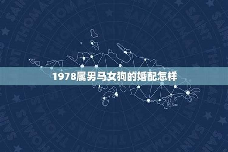 75年女兔和78年男马婚姻合吗,75年属兔男与78年属马相婚配吗