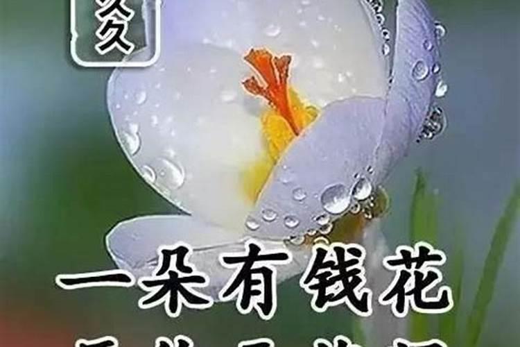 百业兴如笋发,运势如虹,你的好日子来了是什么意思？