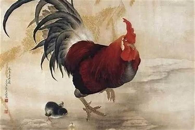 两个属鸡的结婚好不好