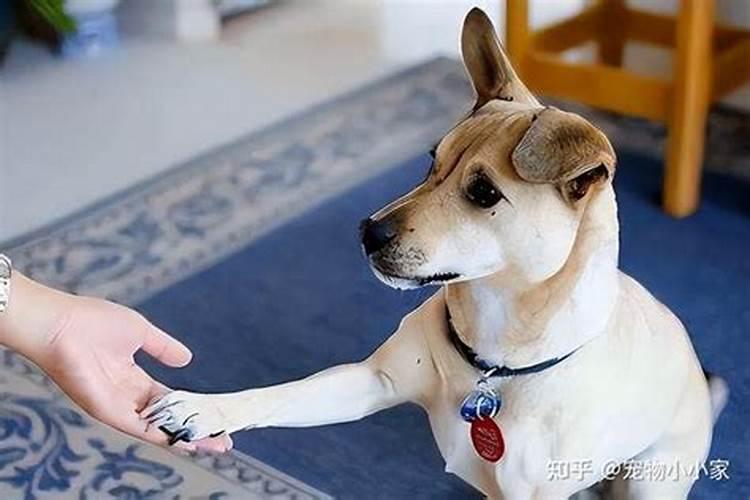 上环后怀孕还能药流么