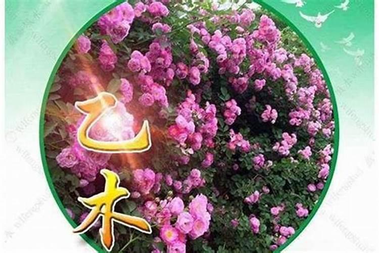 犯婚煞的人应该怎么办,命里犯了婚煞怎么办,有人会化解吗？