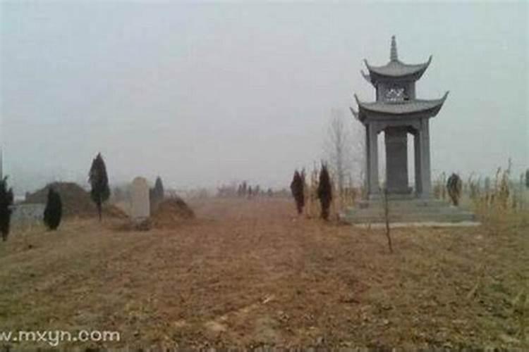 晚上梦见老板给我加薪升职