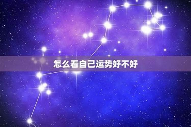 2025年属鼠的运势和财运