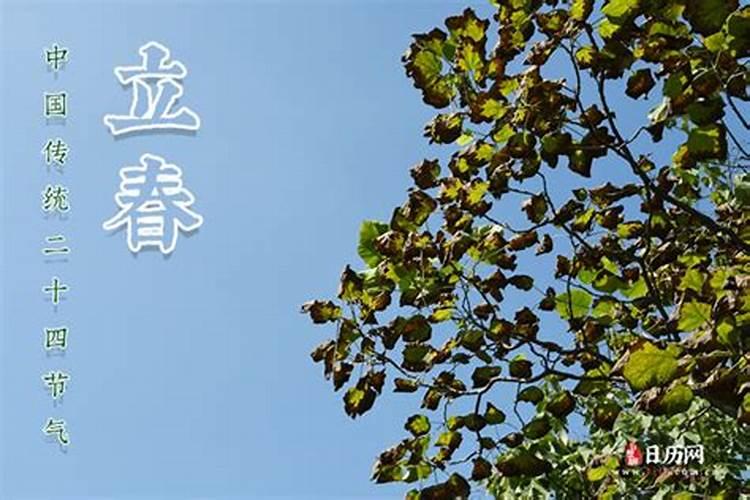 90属马人2025年及未来运势
