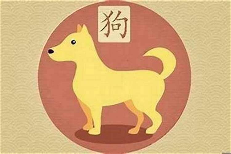 狗和哪个属相最配？