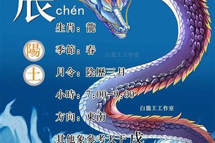 辰是什么意思